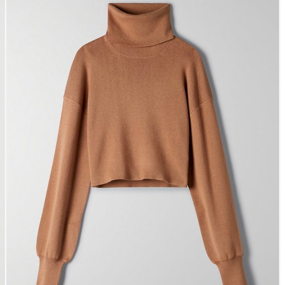 Aritzia Sweaters - Aritzia Wilfred Rebecca sweater